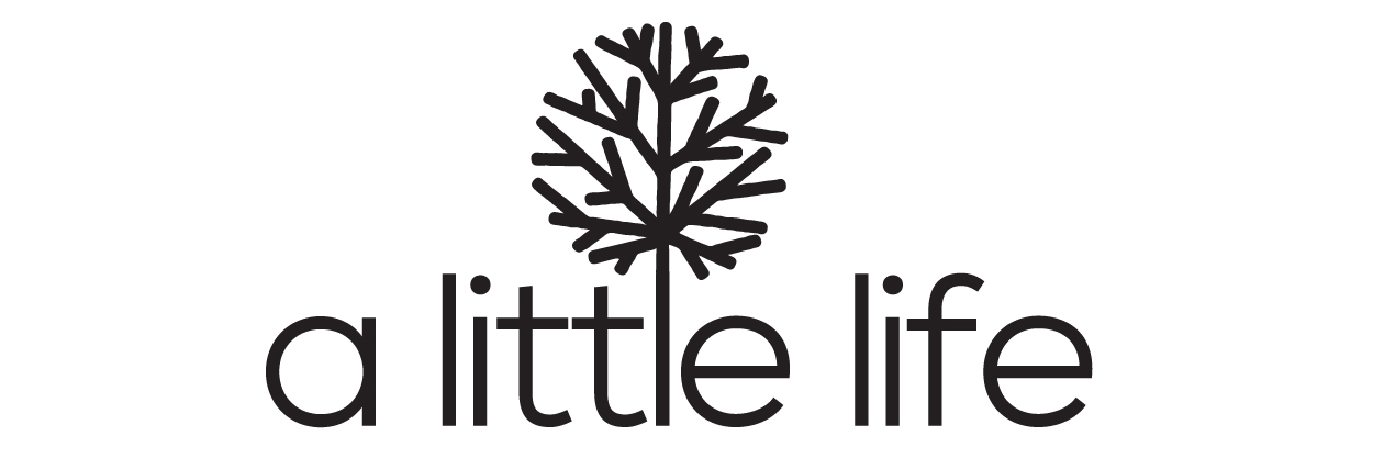 A Little Life Workshop